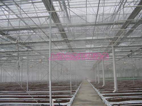 高压喷雾系统种植温室加湿、降温应用