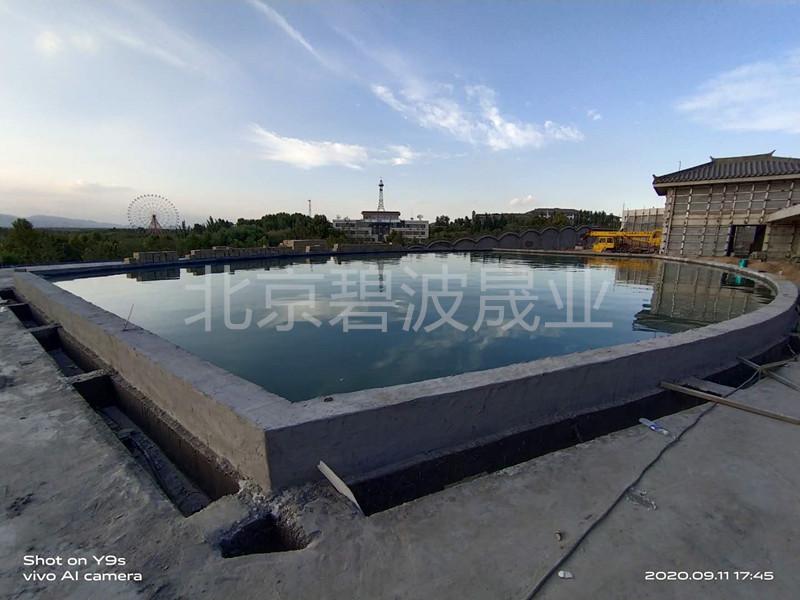 南京泳池水处理设备-BBSY-BB-2A型曝气溶氧精滤机