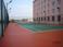 天津塑胶网球场施工-楼顶运动地胶翻新/报价公司
