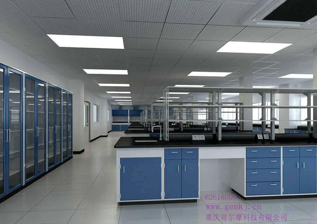 重庆微生物实验室设计 分子生物实验室设计 动物房实验室设计