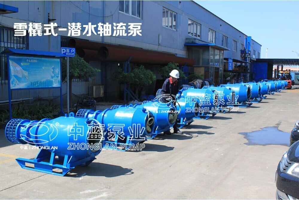 潜水轴流泵生产厂家