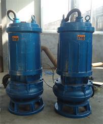 污水处理高热耐受泵-RQW排污泵