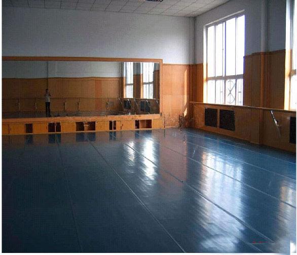 舞蹈地胶;舞蹈木地板;专业舞蹈地板;舞蹈胶地板;舞蹈专业地板胶;