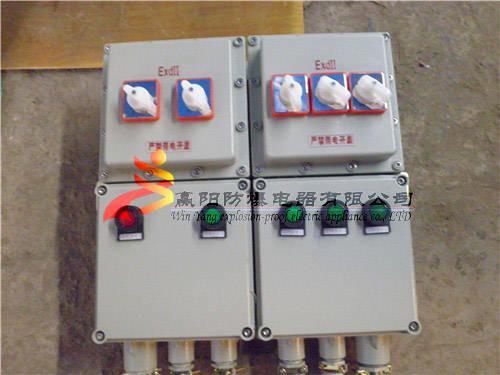 BXM防爆照明配电箱，防爆配电箱IIC级，IP65防爆配电箱