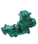 供应晶泉齿轮泵KCB(2CY)型齿轮式输油泵