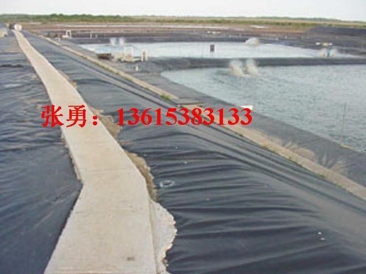 青岛.蓄排水板。排水板价格塑料排水板陕西供应HDPE土工膜复合土工膜