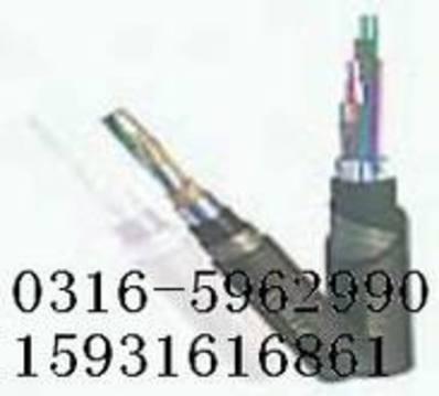 铁路信号电缆PTYAH23 14芯 