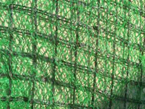 攀枝花生产三维植被网的厂家