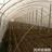 河北润泽供应可定制农用大棚支架杆玻璃钢拱棚杆