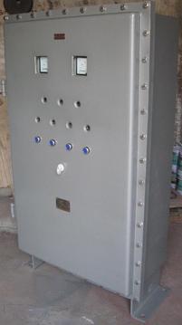 BXK52系列防爆电气控制柜 IIB类防爆电气控制箱子 河北防爆电气