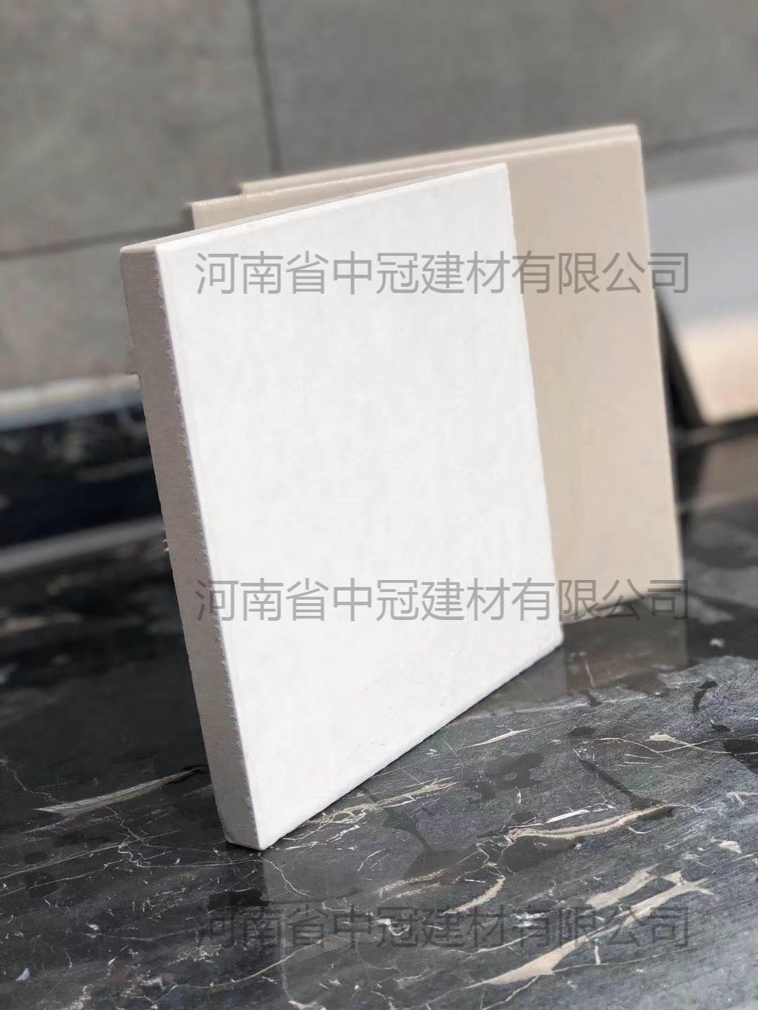 吸收塔反应器耐酸碱耐酸砖\15厚常用耐酸瓷板L