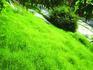 环境保护生态管理山体创面绿化园林绿化边坡绿化施工方郑州景绣绘远