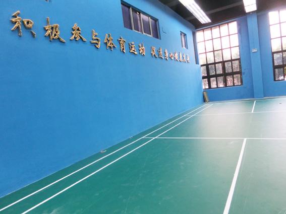 深圳 PVC塑胶运动地板 羽毛球运动胶地板