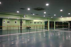 舞蹈地胶；舞蹈室PVC地板；舞台运动地板；舞蹈地胶
