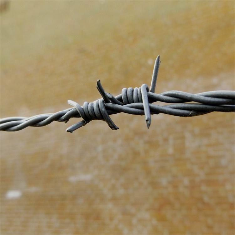 河北镀锌刺绳厂家供应海南道路养护刺铁丝铁蒺藜