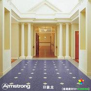 阿姆斯壮PVC卷材地板印象龙纯进口上海意趣