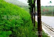河北朝阳边坡绿化工程有限公司