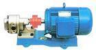 2CY型齿轮泵，输送泵，不锈钢齿轮泵--鸿海泵业生产