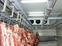 上海地区肉食冷库的建设