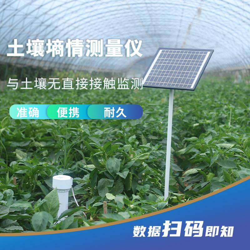 QY-800S管式墒情仪土壤水分测量仪