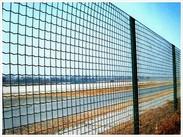 铁丝网围墙|果园防护网|动物园铁丝网墙铁丝网笼|铁丝网厂家|斌佳围栏