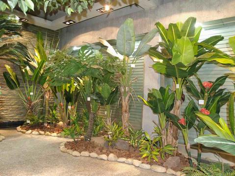 仿真椰子树安装生产|江西仿真印尼大皇椰|定制仿真桫椤