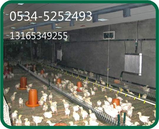 肉鸡养殖保温设备+技术先进遥遥领先