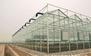 青州广源玻璃温室（12米*4米）