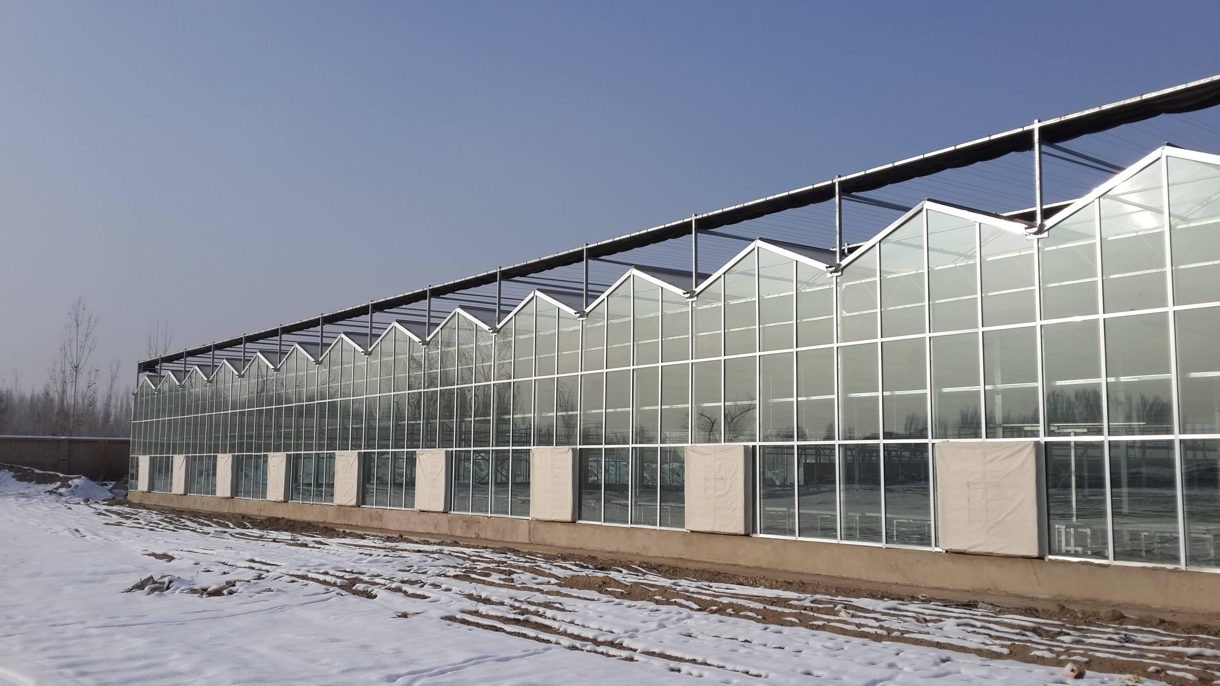 青州广源玻璃温室（12米*4米）