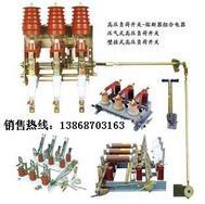 FKRN-12带熔管，FKRN-12专业生产厂家，FKRN-12价格便宜