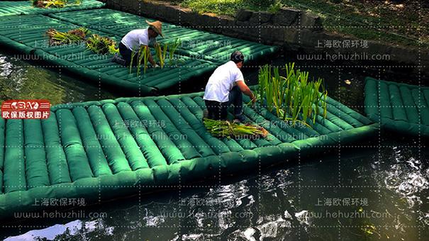 新型复合纤维浮动湿地（ZIPBIO-C型人工浮岛）