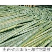 厂家直销优质楠竹
