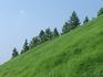石质边坡挂网植草客土喷播绿化景绣绘远项目承包