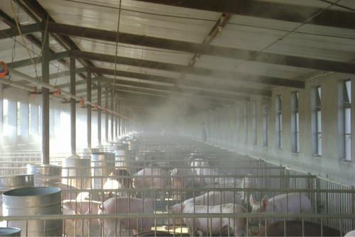 养猪场夏季*好的降温方法喷雾降温设备