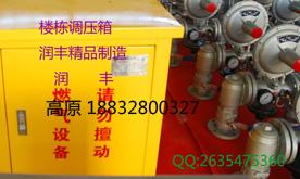 润丰供应楼栋燃气调压器RTZ-*/0.4Q型燃气减压阀国标