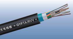 室外铠装光电混合光缆（GYSTA/RVV）