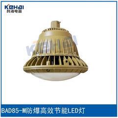 BAD85-M防爆高效节能LED灯