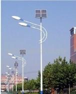 杀虫灯 太阳能杀虫灯 LED杀虫灯 太阳能LED杀虫灯厂家