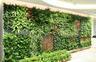 探讨广州屋顶绿化无土草坪种植技术