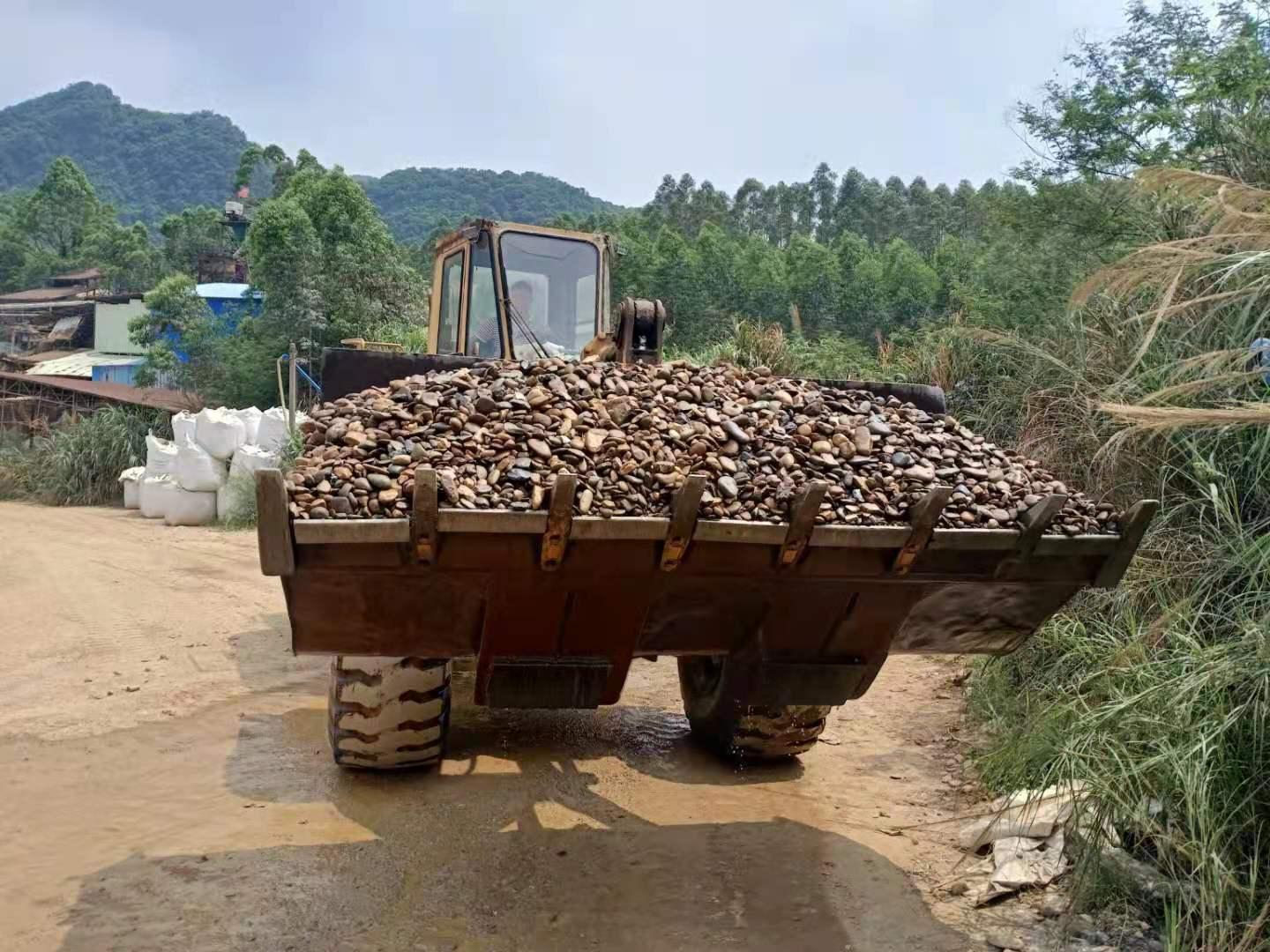 上海厂家批发雨花石鹅卵石 鹅卵石多种用途铺路
