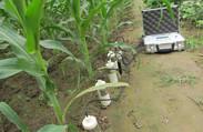 多通道土壤水分速测仪