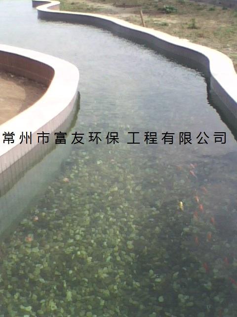 常锦鲤鱼池过滤净化水处理