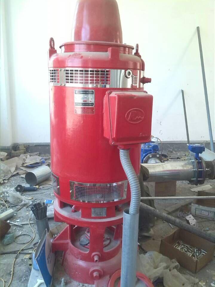 优质干式电机长轴消防泵