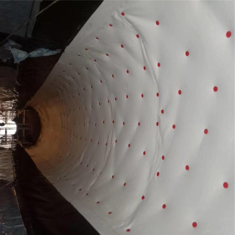 隧道专用防水板 地铁高铁防水板