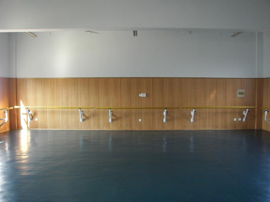 舞蹈地板舞蹈地胶，舞蹈专用地板。舞蹈房地板。舞蹈教室地胶
