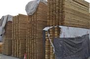 供应赤松防腐木、北欧赤松、赤松规格、芬兰木、赤松批发、赤松价格