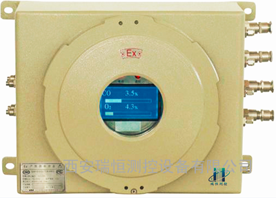 AP390Ex型专业氧分析仪