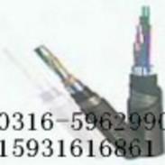 RVVP22电缆铠装屏蔽电缆