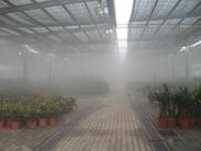 园森大棚喷雾降温、加湿、防疫，施肥设备