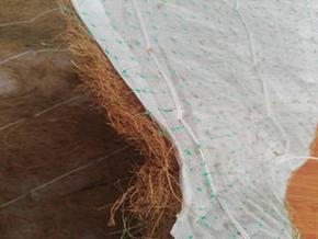 河道護坡植物纖維椰絲毯